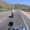 Motorradtour mount-lemmon-highway-- photo